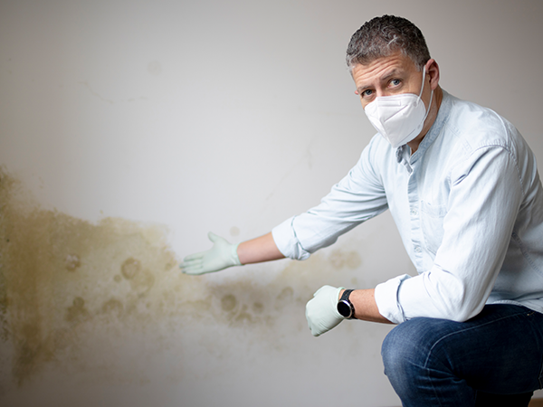 Mold Issues in Brooklyn